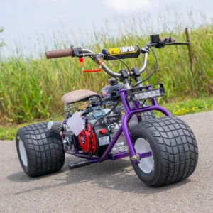Buy Purple Haze TGV Mini Trike Online